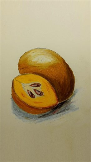 Sapodilla (Sofeda) Drawing with Oil Pastels