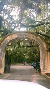 2.5M views · 51K reactions | Most beautiful places in Georgia 勞 #travel #adventure #explore #nature #usa #georgia | TripInspo | Facebook