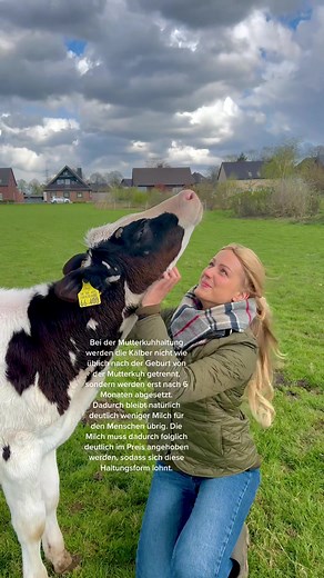 Mother Cow Breeding: Keeping Calves with Cows for 6 Months