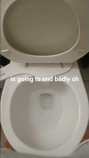 Shewee'd: A Story of Why Women Can't Pee Standing Up