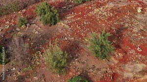 Aerial Kauai Hawaii McBryde Sugar Plantation Cemetery slide. Hill above Glass Beach McBryde Sugar Plantation Cemetery. 9th century burial ground for workers. Gravestones in Japanese and English.