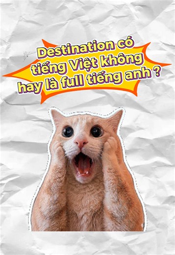 Destination có tiếng Việt không ? Hay là full tiếng Anh ? #mcbooks #hoctienganh #ielts #toeic #destination