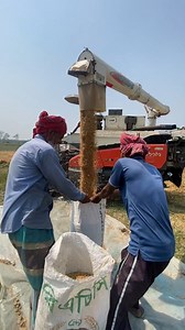 9.2K views · 59 reactions | Amazing Wheat Harvesting Process Using Modern Technology | Art Action | Facebook