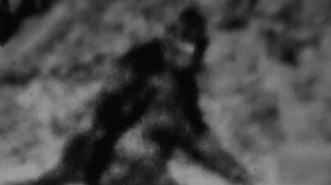 Man Finds Tape: Man Finds Tape: Exclusive Clip