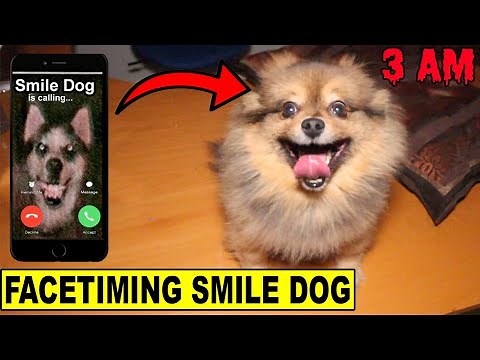 (MY DOG TURNED INTO SMILE DOG!!) Facetiming Smile Dog at 3 AM GONE WRONG!!