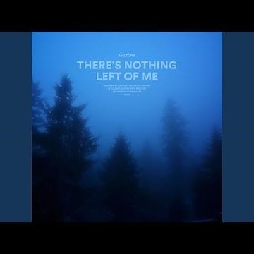 there’s nothing left of me