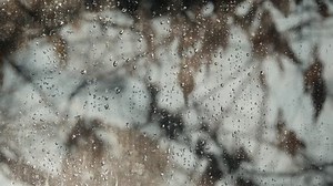 Rain Glass Stock Footage Video (100% Royalty-free) 1020666550 | Shutterstock