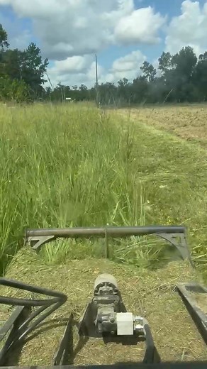 1.7K views | Tall grass? Overgrown property?  Let’s get it cut and ready for winter! Our brush cutter doesn’t just knock down tall grass — it handles 3–4 inch trees and thick brush too. We’ll make your field look like a yard again! ✅ Fast. ✅ Affordable. ✅ Professional results. CALL US….. AND….. IT’S DONE!  337-540-8026 | The Daily Grind | Facebook