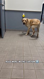 3.1K views · 96 reactions | For a veteran or first responder with...