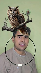 Circle challenge | Challenge With Me