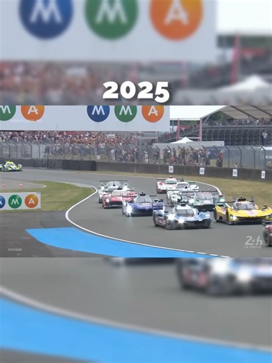 Pogona Insurance on Reels