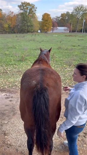 4.5K views · 1.1K reactions | Part 2 of checking the pelvis You can...