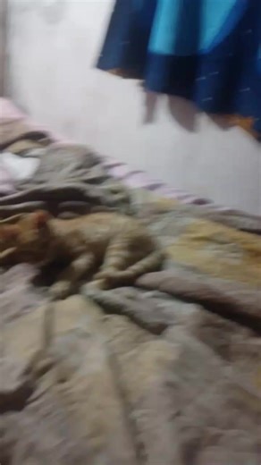 Videos de thiago.edits🎖 (@thiago.battos) con “som original - Clara(𝑀𝑎𝑛𝑗𝑖𝑟𝑜 𝑤𝑖𝑓𝑒)”