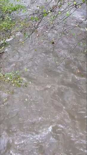 Beautiful Flowing River – Peaceful Nature Short