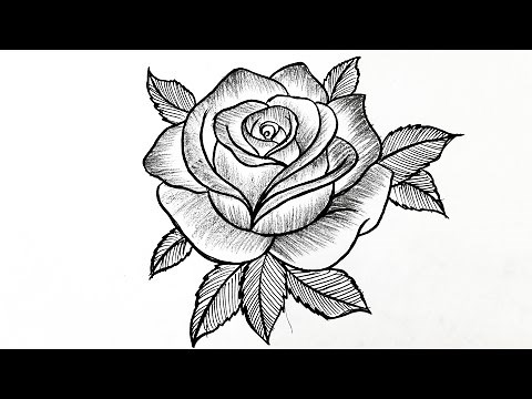 Rose Drawing Easy | How To Draw A Rose Step-by-step