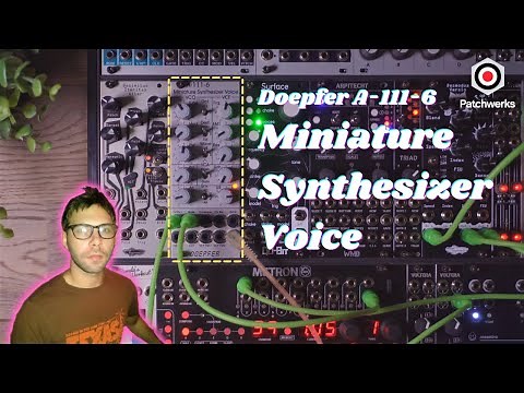 Staff Favorite: Doepfer A-111-6 Miniature Synthesizer Voice