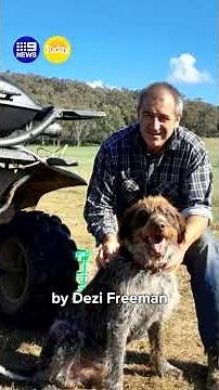 Inquests into Dezi Freeman and police shooting begin | 9 News Australia