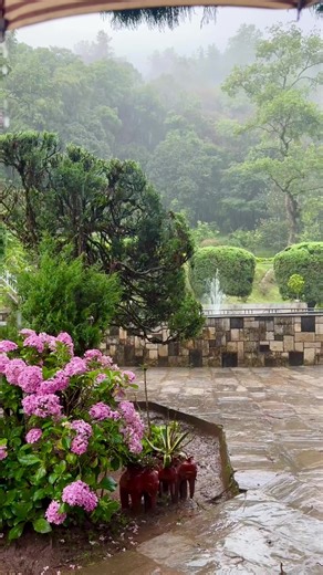 csum_world on TikTok