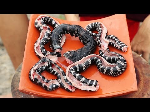 RẮN TRUN NƯỚNG NGÓI | LÁ MẢNG CẦU