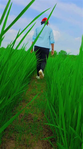 5.7K views · 49 reactions | Sukoon ✨️ #reelstrending #reelsvideo #reelkarofeelkaro #reelsfacebook #longhair #reelschallenge #reelsfacebook #roshanisara #sukoon #reelsfb #natural #green | Roshani Sara | Facebook