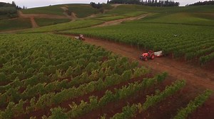 Explore more of the Wine World with the Cooper's Hawk International Collection - Three Red Wines from Australia, Spain & Italy | Cooper's Hawk Winery & Restaurant