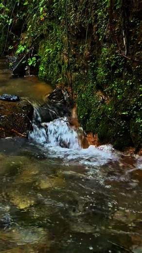 Fall asleep in seconds with gentle stream white noise
