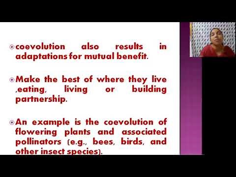 co evolution of flowers and pollinators