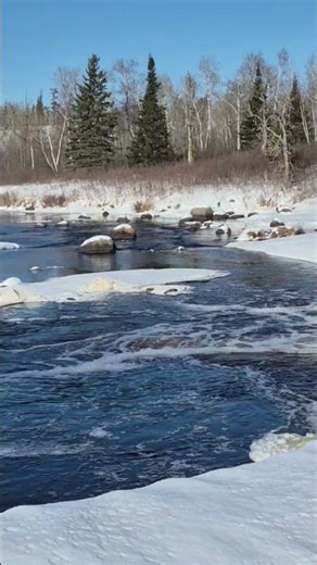 Frozen Lake View | Nature Flow