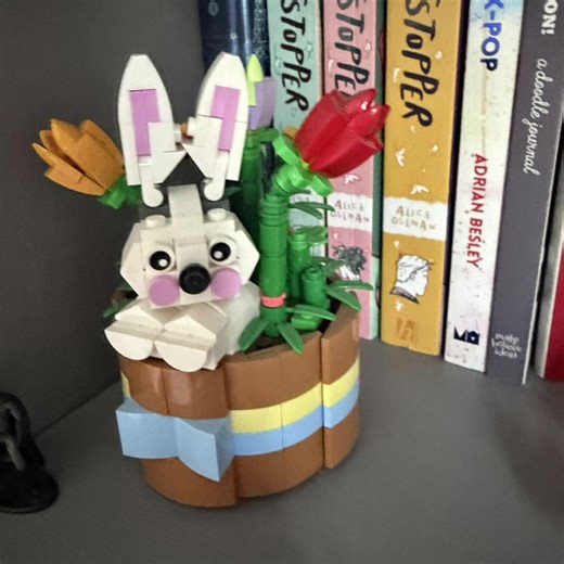 Growing My Lego Collection: A Journey of Creativity