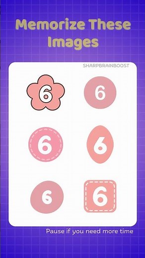 Visual Memory Test 8 👀🧠