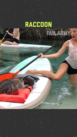 stick to the pool... 🦈😬 | FailArmy