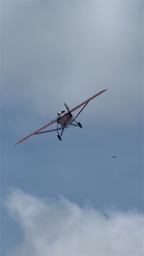 Snoopy Takes Flight! 🛩️ Watch Him Soar Over the Crowd!#airshow #aviation #aviationlovers