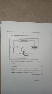 Life sciences grade 125NCSlimporodoe/MAY 20251.4 The diagra... | Filo