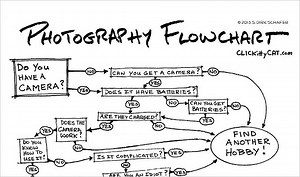 Humorous Photography Flowchart Helps You Decide Whether or Not to Take a Photo
