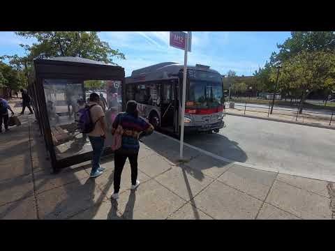 Wheelchair Lift / Ramp in Action on WMATA Metrobus 2020 New Flyer XD40 Bus #4478 on Route M12