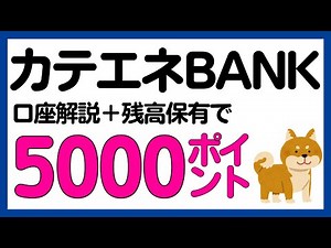 【全員対象】カテエネBANKの口座開設で必ず5000ポイントがもらえるキャンペーン