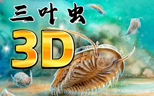 三叶虫的真面目！三维立体影像揭晓！