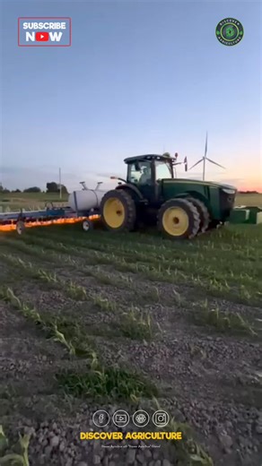 5.3K views · 20 reactions | Transforming traditional agriculture...