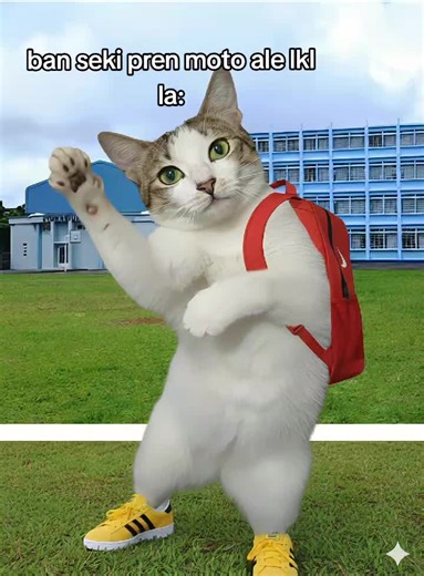 2026 pu nou!!🔥 back to school 🤣#mauritius🇲🇺 #fyp #viral #xyzbca #mru🇲🇺