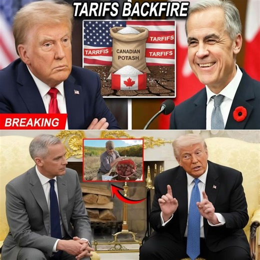 BREAKING: TRUMP slaps tariffs on Canadian potash... but it totally backfired! 🇺🇸💥 💬 Full story: https://us.topbrand.live/13219/ Instead of hurting Canada, U.S. farmers are in crisis — fertilizer prices soaring, crops at risk. A senior Trump adviser reportedly said: “We just shot ourselves in the foot!” Canada? Redirected exports to Asia & Europe, signing massive deals and laughing all the way to the bank. One Canadian official: “If the U.S. doesn’t want it, the world does.” 🇨🇦👑 American f