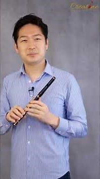 ピッコロ演奏は音色重視！プロが解説 #shorts