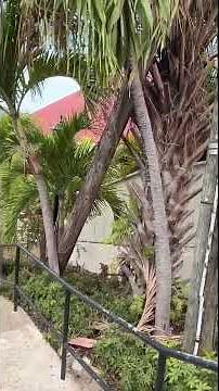 99 Steps, St Thomas - USVI