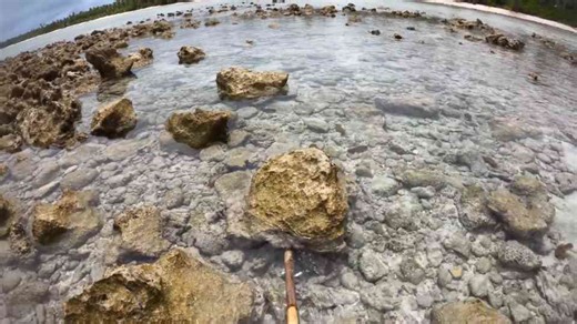 PLANE CRASH SURVIVAL CHALLENGE (Remote Island, No Food, No Water)