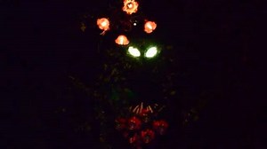 62 reactions · 3 comments | A man-eating plant makes a wonderful wreath...As long as you don't get caught in it's teeth. | Disney Darlings | Facebook