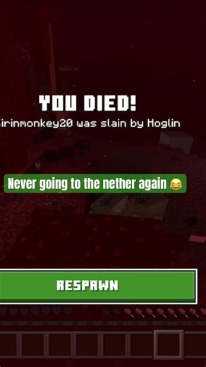 Never going to the nether again 😂