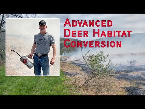 Advanced Deer Habitat - Convert Pasture to Natural Deer Forage and Cover With Fire