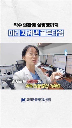 더 늦기 전에 내린 선택🚨 #동물병원 #치와와 #강아지심장병 #척수공동증 #수의사 #동물보건사 #shorts #쇼츠