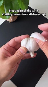With a creative eye and nimble hands, beautiful #flowers can "bloom" from the unlikeliest of materials: #garlic peels. This inspiring craft shows how humble kitchen scraps can be transformed into art with a touch of ingenuity, proving that everyday materials have endless possibilities. #TrendinginChina | Xi's Moments