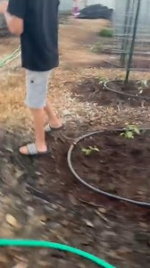 42K views · 1.3K reactions | Mommy’s little helpers  part 1 | CookingwithSammy | Facebook