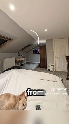 Unbelievable Design Fails We Wouldn't Attempt